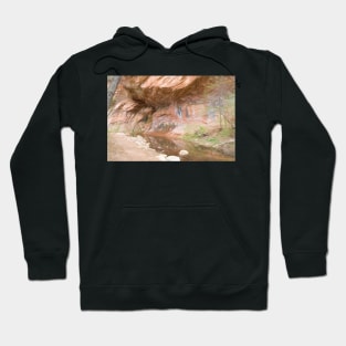 Red Rock National Park Hoodie